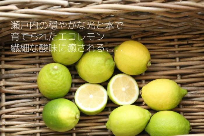 瀬戸田レモン、瀬戸内レモン 皮まで食べられる無農薬レモン(ワックス・防カビ剤・保存料・除草剤不使用。皮が薄く果汁が多いべっぴん希少レモン )特別栽培エコレモン(露地栽培)自然栽培レモン 広島県尾道市瀬戸田町 国産レモンを産地直送致致します。パティシエ手作り ...